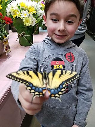 Finn and a butterfly